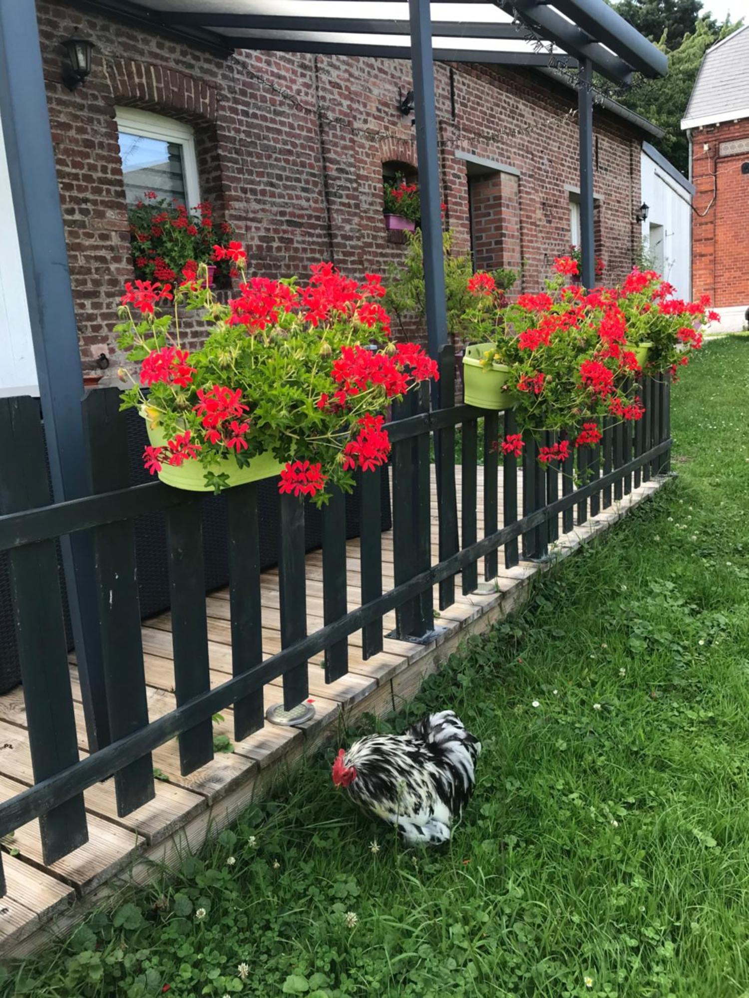 Chambre D'Hotes "Coquelicot" Nurlu Exterior photo